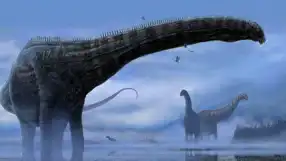 Dinozor Fosilinde Kanser İpuçları!